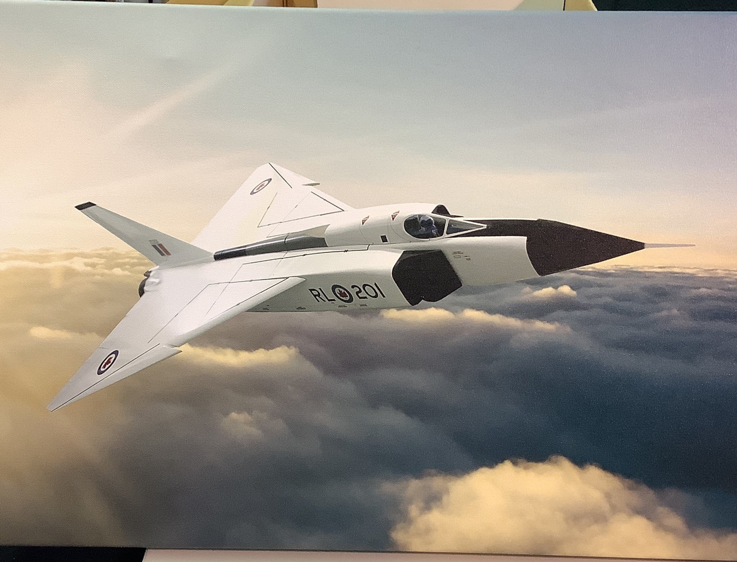 Arrow Print (canvas)